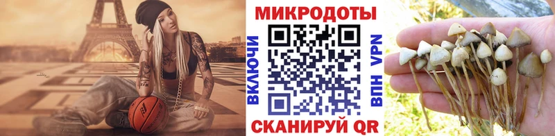 MEGA онион  Снежногорск  Галлюциногенные грибы GOLDEN TEACHER 