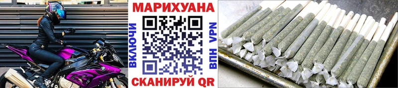Конопля индика  Снежногорск 
